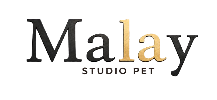Malay Studio Pet